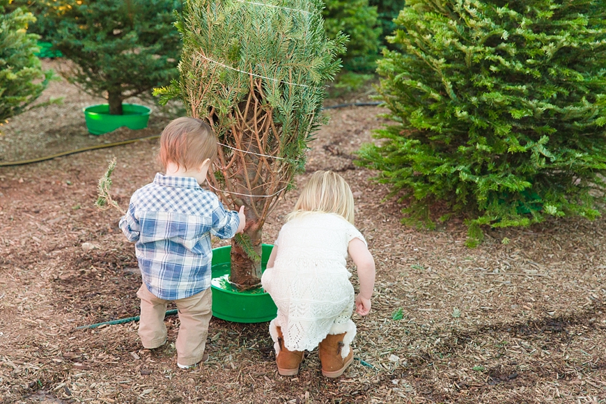 Leah Hope Photography | Christmas Tree Lot Phoenix Scottsdale Family Lifestyle Pictures