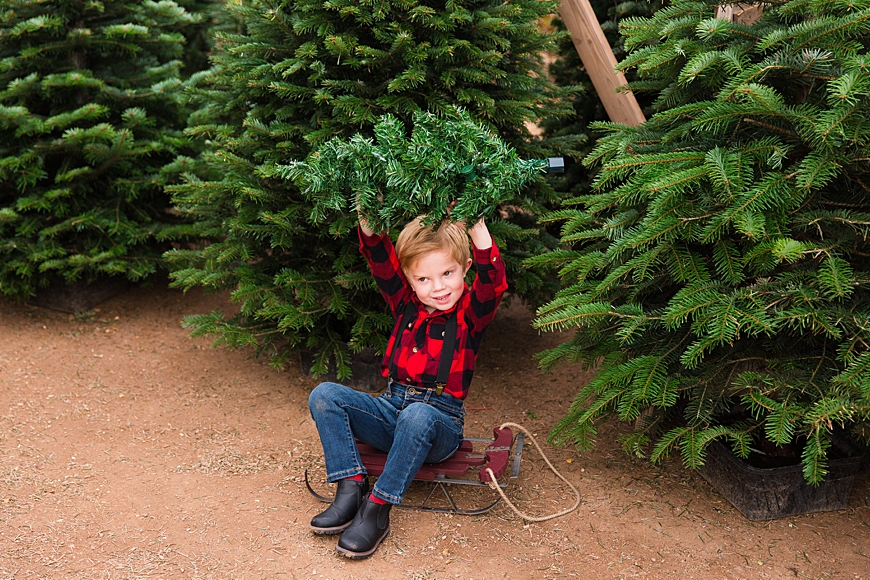 Leah Hope Photography | Phoenix Gilbert Arizona Schnepf Farm Christmas Tree Lot Fall Leaves Iceskating Family Pictures