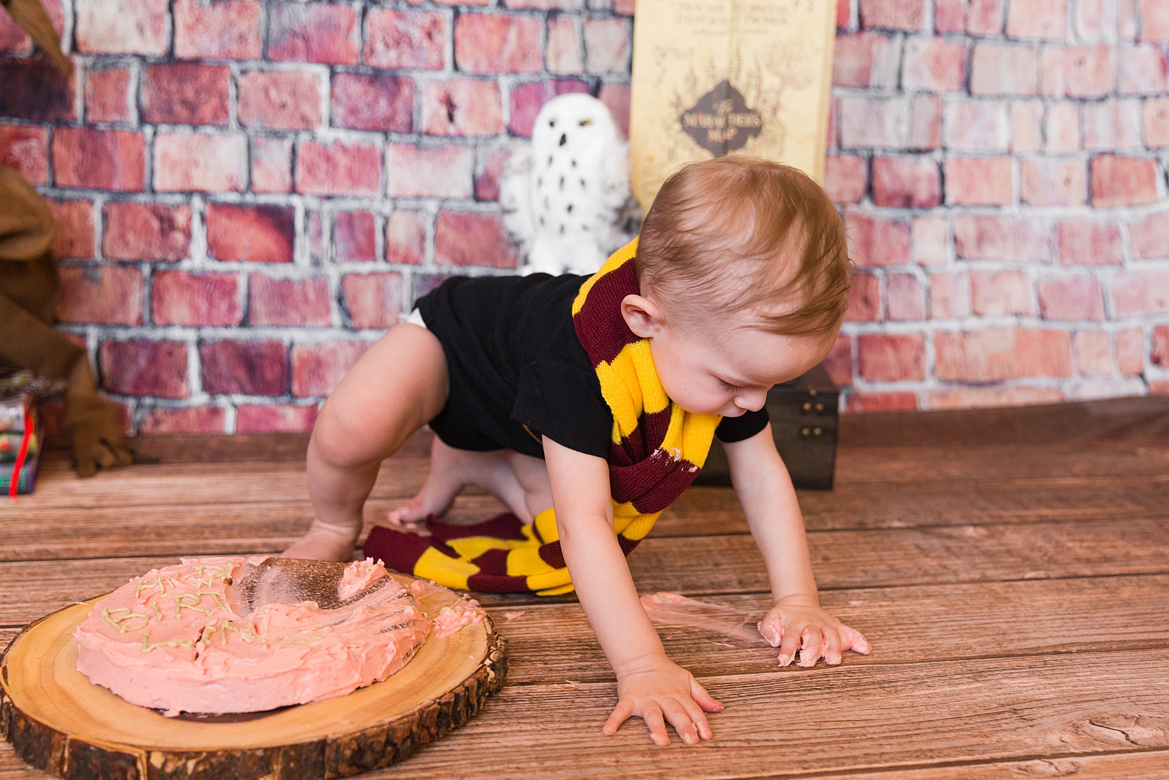 Leah Hope Photography | Scottsdale Phoenix Arizona Harry Potter Themed Birthday One Year Old Cake Smash Pictures